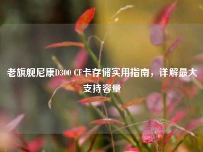 老旗舰尼康D300 CF卡存储实用指南，详解最大支持容量