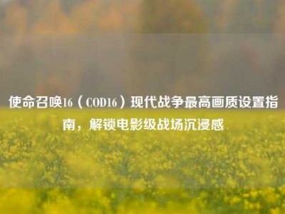 使命召唤16（COD16）现代战争最高画质设置指南，解锁电影级战场沉浸感