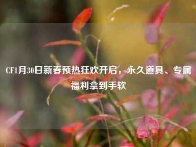 CF1月30日新春预热狂欢开启，永久道具、专属福利拿到手软
