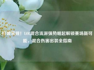 打破常规！LOL混合流派强势崛起解锁赛场新可能，混合伤害出装全指南