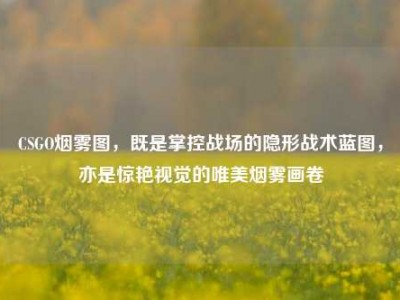 CSGO烟雾图，既是掌控战场的隐形战术蓝图，亦是惊艳视觉的唯美烟雾画卷