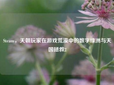 Steam，天朝玩家在游戏荒漠中的数字绿洲与天国拯救2