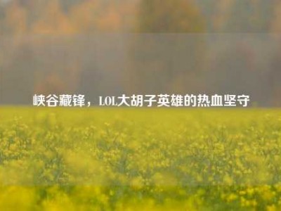 峡谷藏锋，LOL大胡子英雄的热血坚守