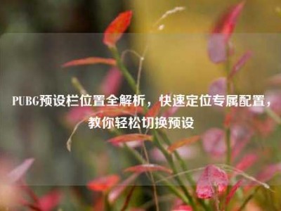 PUBG预设栏位置全解析，快速定位专属配置，教你轻松切换预设