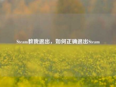 Steam教我退出，如何正确退出Steam