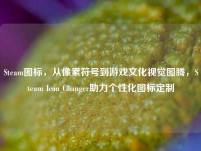 Steam图标，从像素符号到游戏文化视觉图腾，Steam Icon Changer助力个性化图标定制