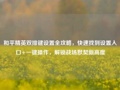 和平精英双排键设置全攻略，快速找到设置入口+一键操作，解锁战场默契新高度