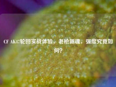 CF AK47轮回实战体验，老枪新魂，强度究竟如何？