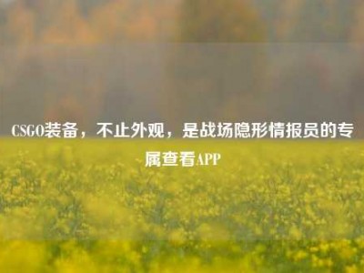CSGO装备，不止外观，是战场隐形情报员的专属查看APP