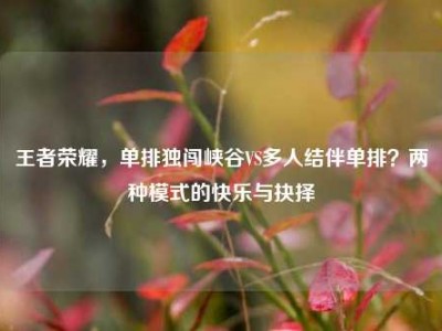 王者荣耀，单排独闯峡谷VS多人结伴单排？两种模式的快乐与抉择