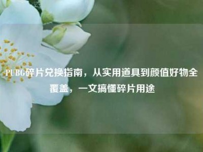 PUBG碎片兑换指南，从实用道具到颜值好物全覆盖，一文搞懂碎片用途