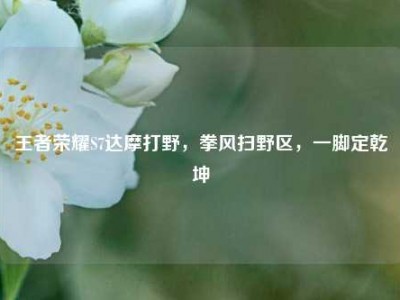 王者荣耀S7达摩打野，拳风扫野区，一脚定乾坤
