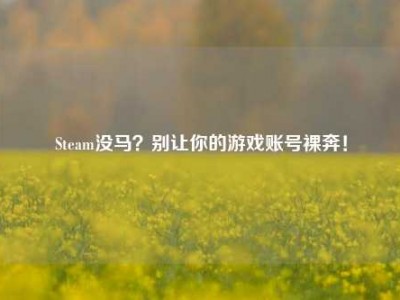 Steam没马？别让你的游戏账号裸奔！