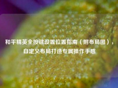 和平精英全按键设置位置指南（附布局图），自定义布局打造专属操作手感