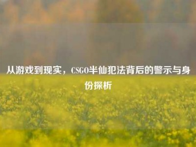 从游戏到现实，CSGO半仙犯法背后的警示与身份探析
