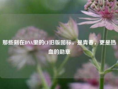 那些刻在DNA里的CF旧版图标，是青春，更是热血的勋章