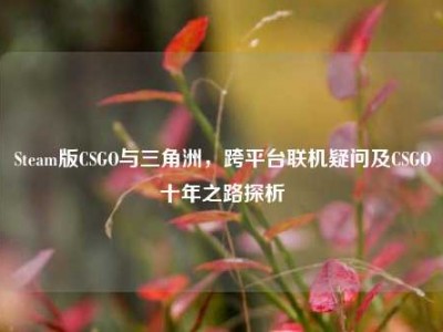 Steam版CSGO与三角洲，跨平台联机疑问及CSGO十年之路探析