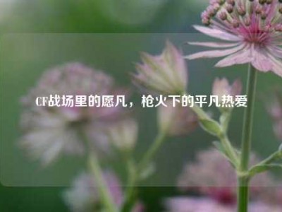CF战场里的愿凡，枪火下的平凡热爱