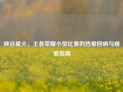 峡谷星火，王者荣耀小型比赛的热爱回响与观看指南