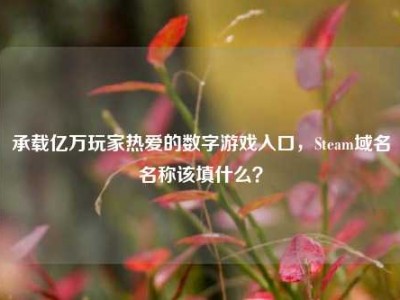 承载亿万玩家热爱的数字游戏入口，Steam域名名称该填什么？