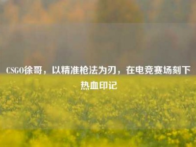 CSGO徐哥，以精准枪法为刃，在电竞赛场刻下热血印记