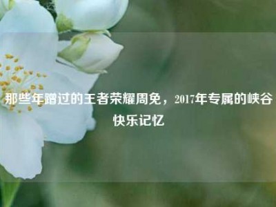 那些年蹭过的王者荣耀周免，2017年专属的峡谷快乐记忆