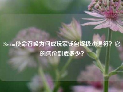 Steam使命召唤为何成玩家钱包终极劝退符？它的售价到底多少？