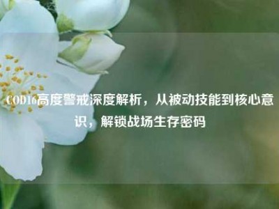COD16高度警戒深度解析，从被动技能到核心意识，解锁战场生存密码