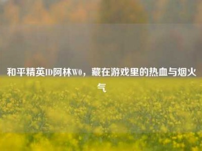和平精英ID阿林W0，藏在游戏里的热血与烟火气