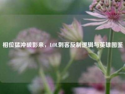 相位猛冲破影来，LOL刺客反制逻辑与英雄图鉴