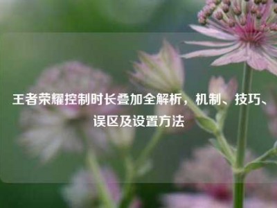 王者荣耀控制时长叠加全解析，机制、技巧、误区及设置方法