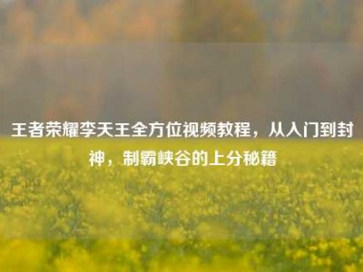 王者荣耀李天王全方位视频教程，从入门到封神，制霸峡谷的上分秘籍
