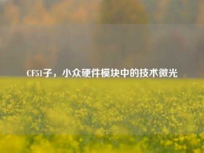 CF51子，小众硬件模块中的技术微光