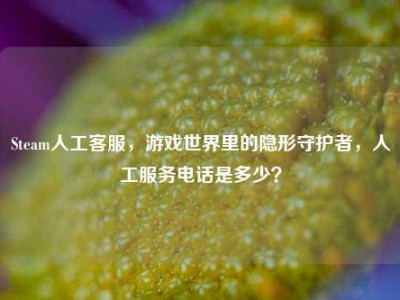 Steam人工客服，游戏世界里的隐形守护者，人工服务电话是多少？