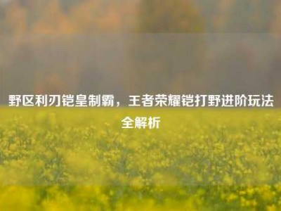 野区利刃铠皇制霸，王者荣耀铠打野进阶玩法全解析