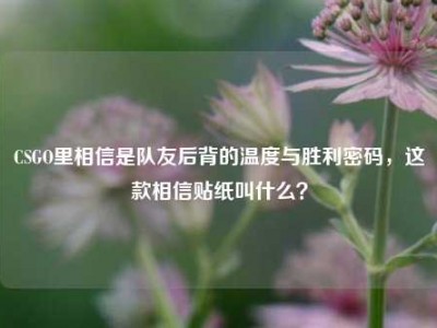 CSGO里相信是队友后背的温度与胜利密码，这款相信贴纸叫什么？