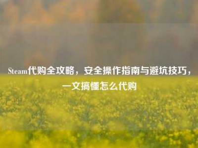 Steam代购全攻略，安全操作指南与避坑技巧，一文搞懂怎么代购
