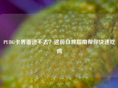 PUBG卡界面进不去？这份自救指南帮你快速吃鸡