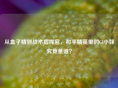 从盒子精到战术指挥官，和平精英里的Gl小妹究竟是谁？
