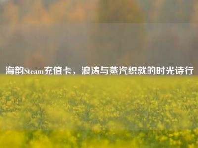 海韵Steam充值卡，浪涛与蒸汽织就的时光诗行