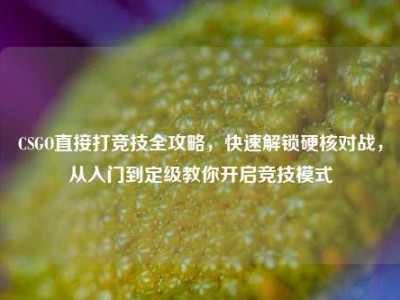 CSGO直接打竞技全攻略，快速解锁硬核对战，从入门到定级教你开启竞技模式