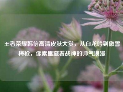 王者荣耀韩信高清皮肤大赏，从白龙吟到傲雪梅枪，像素里藏着战神的帅气浪漫