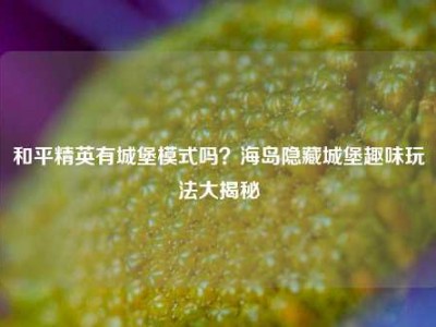 和平精英有城堡模式吗？海岛隐藏城堡趣味玩法大揭秘