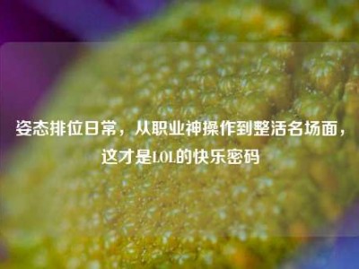 姿态排位日常，从职业神操作到整活名场面，这才是LOL的快乐密码