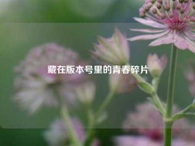藏在版本号里的青春碎片