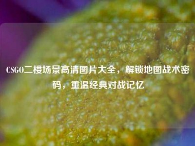 CSGO二楼场景高清图片大全，解锁地图战术密码，重温经典对战记忆
