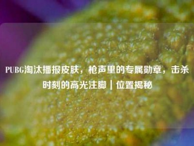 PUBG淘汰播报皮肤，枪声里的专属勋章，击杀时刻的高光注脚｜位置揭秘
