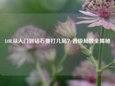 LOL从入门到钻石要打几局？晋级局数全揭秘