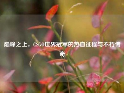 巅峰之上，CSGO世界冠军的热血征程与不朽传奇