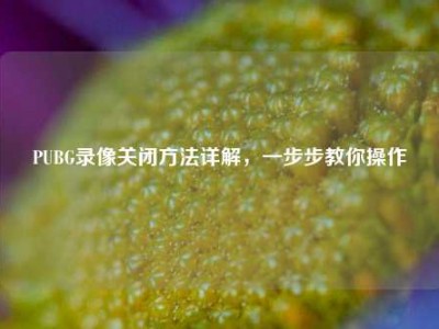 PUBG录像关闭方法详解，一步步教你操作